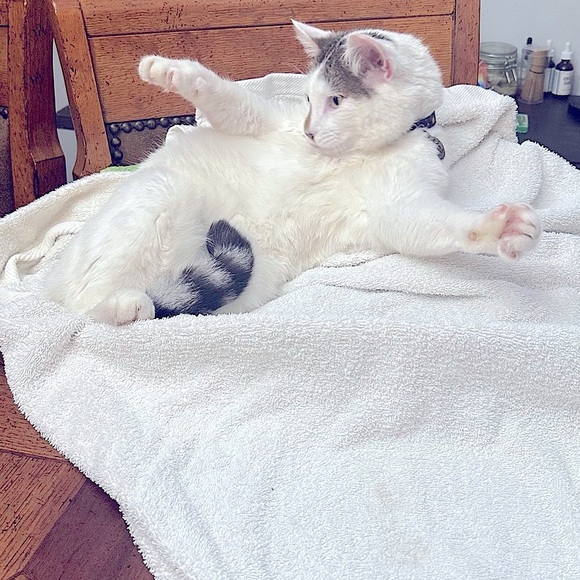 Meet your Posher, Rachael - Picture 8 of 14